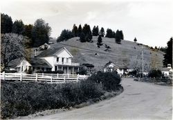 Coleman Valley Ranch, 17220 Coleman Valley Road, Occidental, California, 1979 or 1980