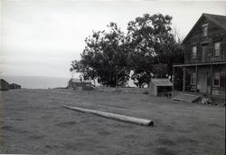 Stewarts Point, California, 1979 or 1980