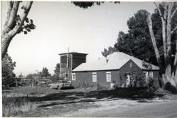 7906 Swartz Avenue, Sebastopol, California, 1979 or 1980