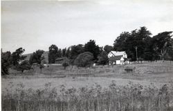 James Fowler House, 14270 Valley Ford Road, Valley Ford, California, 1979 or 1980