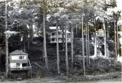 Camp Meeker bungalows, Camp Meeker, California, 1979 or 1980