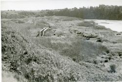 Wallhalla (Gualala) River, Highway 1 at the Sonoma-Mendocino County Line, Sea Ranch, California, 1979 or 1980