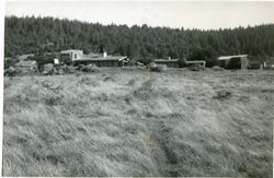 Sea Ranch Sod Roof Houses, 39331 Pacific Reach, Sea Ranch, California, 1979 or 1980