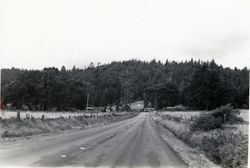 Walsh Landing, 23125 Highway 1, Jenner, California, 1979 or 1980