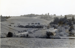 Bodega, California, 1979 or 1980