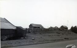 David Pedotti Ranch, 17500 Highway 1, Bodega Bay, California, 1979 or 1980