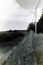 North Pacific Coast Railroad embankment at the Marin County end of the trestle over the Estero Americano, Valley Ford, California, 1979 or 1980