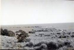 Salt Point, 25050 Highway 1, Jenner, California, 1979 or 1980