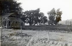 777 Salmon Creek Road, Bodega, California, 1979 or 1980