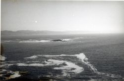 Bodega Head, Bodega Bay, California, 1979 or 1980