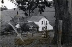 R. W. Acker House, 18300 Highway 1, Bodega, California, 1979 or 1980