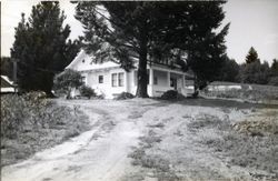 11062 Graton Road, Sebastopol, California, 1979 or 1980