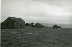 Stewarts Point, California, 1979 or 1980