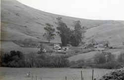 Bodega Highway, Bodega, California, 1979 or 1980