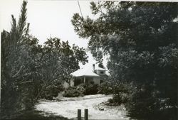 5351 Hutchinson Road, Sebastopol, California, 1979 or 1980