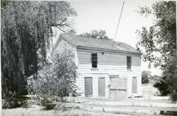 Llano Roadhouse, 4353 Gravenstein Highway South, Sebastopol, California, 1979 or 1980