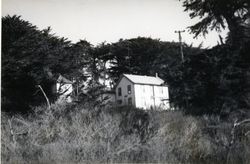 Carrington Ranch, 4300 Highway 1, Salmon Creek, California, 1979 or 1980