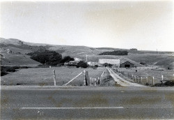 Gleason Ranch, 6000 Highway 1, Carmet, California, 1979 or 1980