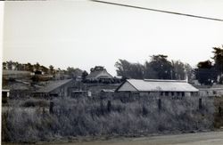 6687 Moro Street, Bloomfield, California, 1979 or 1980