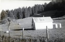 Coleman Valley Ranch, 17220 Coleman Valley Road, Occidental, California, 1979 or 1980