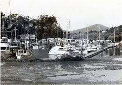 Johnson's Port Area, 1355 Highway 1, Bodega Bay, California, 1979 or 1980