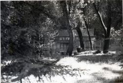 Elim Grove, 5000 Austin Creek Road, Cazadero, California, 1979 or 1980