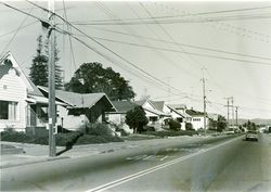 7215-7320 Bodega Avenue, Sebastopol, California, 1979 or 1980