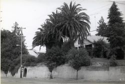 545 North Main Street, Sebastopol, California, 1979 or 1980