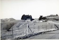 Corliss Ranch, 20019 Coleman Valley Road, Bodega Bay, California, 1979 or 1980