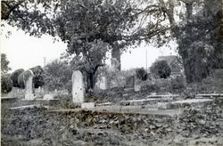 Gilliam Cemetery in Green Valley, 2997 Sullivan Road, Graton, 1979 or 1980