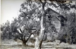 George E. Atkinson House, 7671 Atkinson Road, Sebastopol, California, 1979 or 1980