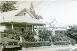 460 and 470 Eleanor Avenue, Sebastopol, California, 1979 or 1980