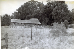 Kruse Ranch- Fisk's Mill, 27800 Highway 1, Plantation, California, 1979 or 1980