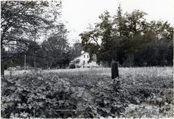 Sullivan House in Green Valley, 3022 Sullivan Road, Graton, 1979 or 1980