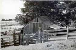 Del Mar, Highway 1 and Del Mar Point Road, Sea Ranch, California, 1979 or 1980