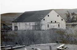 James Watson House, 14100 Bodega Highway, Valley Ford, California, 1979 or 1980