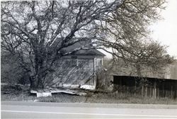 795 Watertrough Road, Sebastopol, California, 1979 or 1980