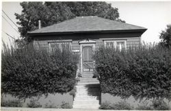 241 Florence Avenue, Sebastopol, California, 1979 or 1980