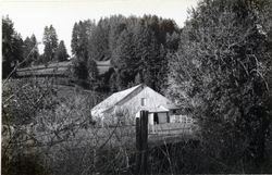 Coleman Valley Ranch, 17220 Coleman Valley Road, Occidental, California, 1979 or 1980