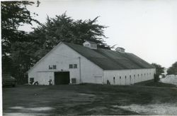 Sea Ranch Stable, Highway 1 Marker 53.76, Sea Ranch, California, 1979 or 1980