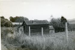 Bloomfield Cemetery, Church Street, Bloomfield, California, 1979 or 1980