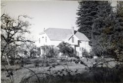 Old Morelli House, 13404 Dupont Road, Sebastopol, California, 1979 or 1980
