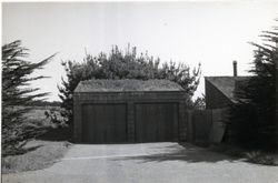 Hedge Row Housing, 60 Black Point Reach, Sea Ranch, California, 1979 or 1980