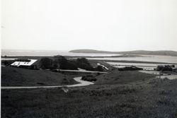 Bodega Head, Bodega Bay, California, 1979 or 1980