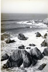 Bodega Head, Bodega Bay, California, 1979 or 1980
