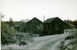 14569 Morelli Lane, Camp Meeker, California, 1979 or 1980