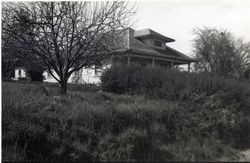 804 Watertrough Road, Sebastopol, California, 1979 or 1980