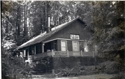 Camp Meeker bungalows, Camp Meeker, California, 1979 or 1980