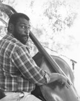 Herbie Lewis playing bass [descriptive]