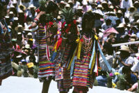 Tuxtepec, women dancers holding pineapples, 1985